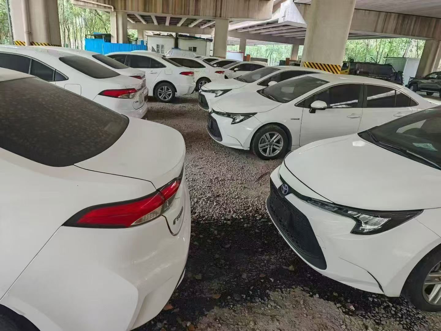 Car Dealer Team Member