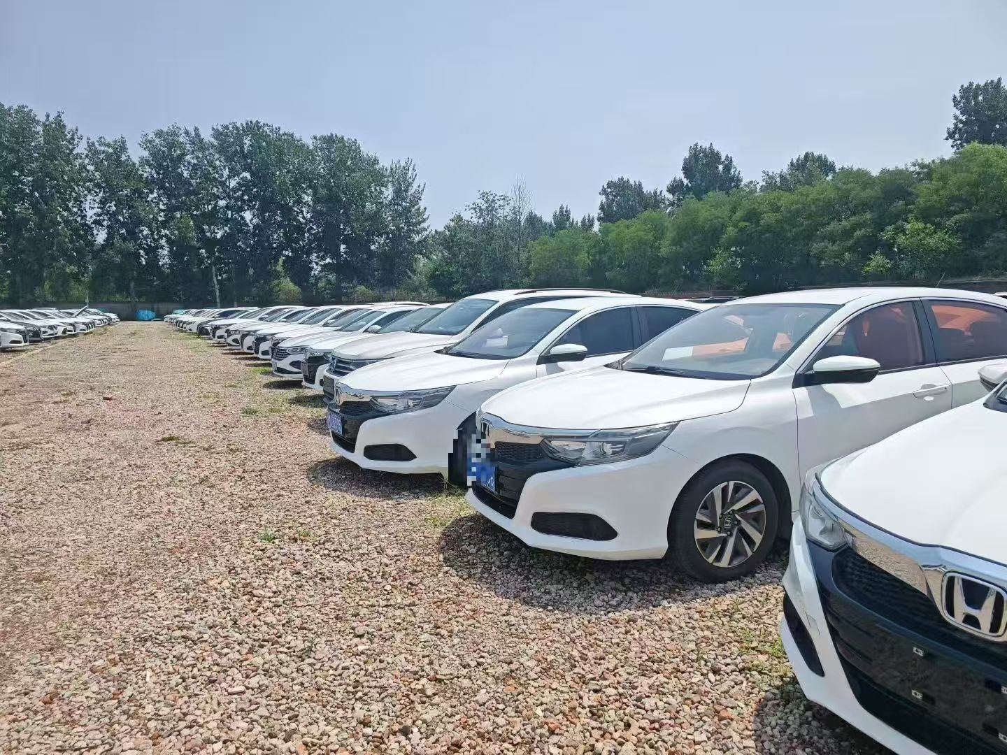 Car Dealer Team Member