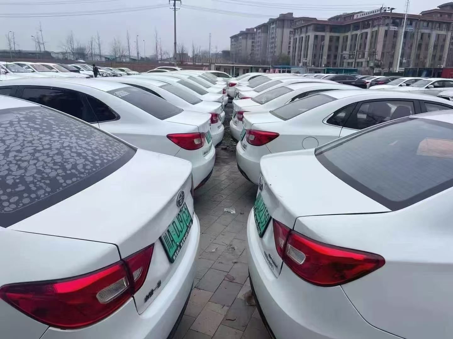 Car Dealer Team Member