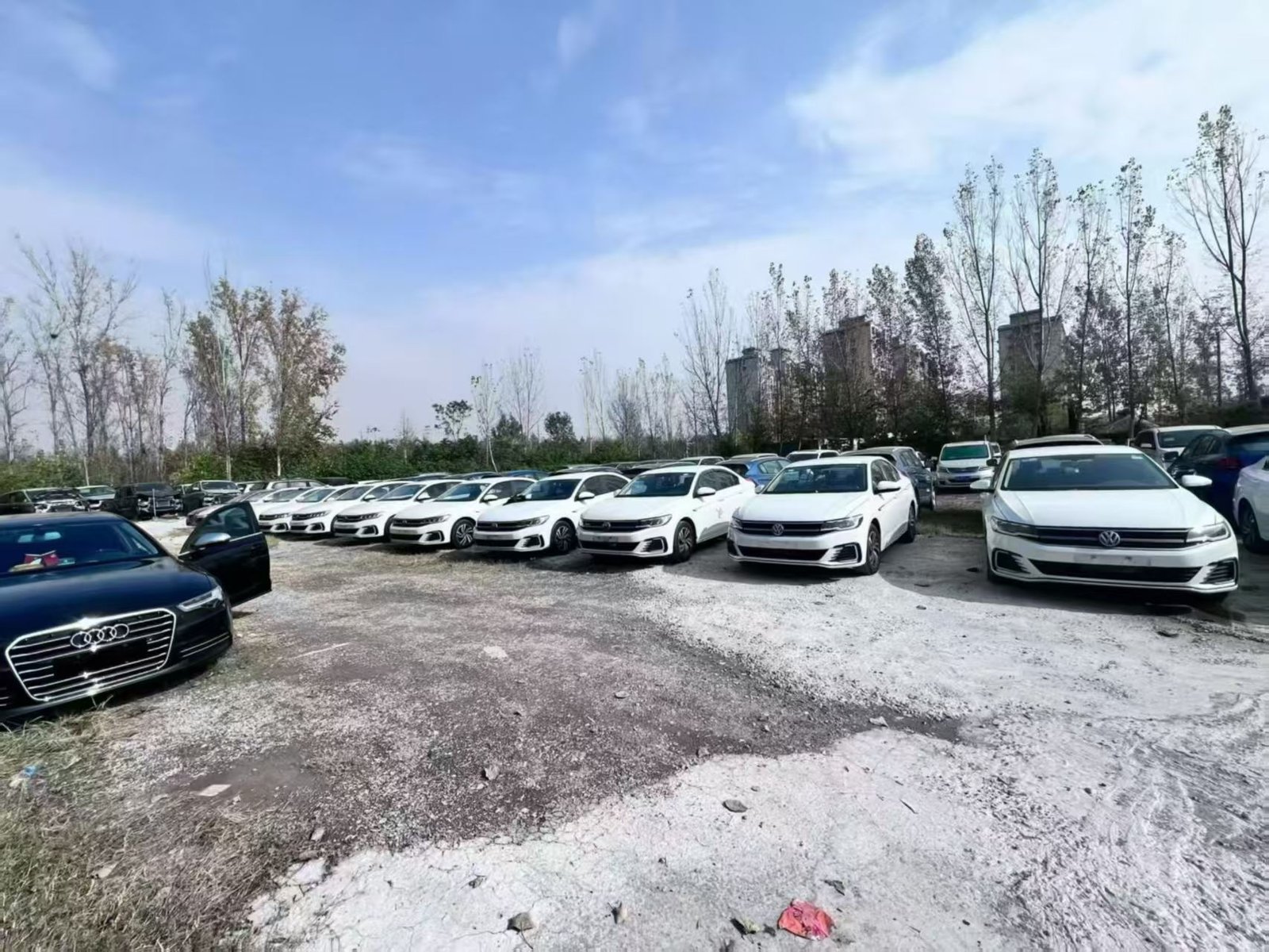 Car Dealer Team Member