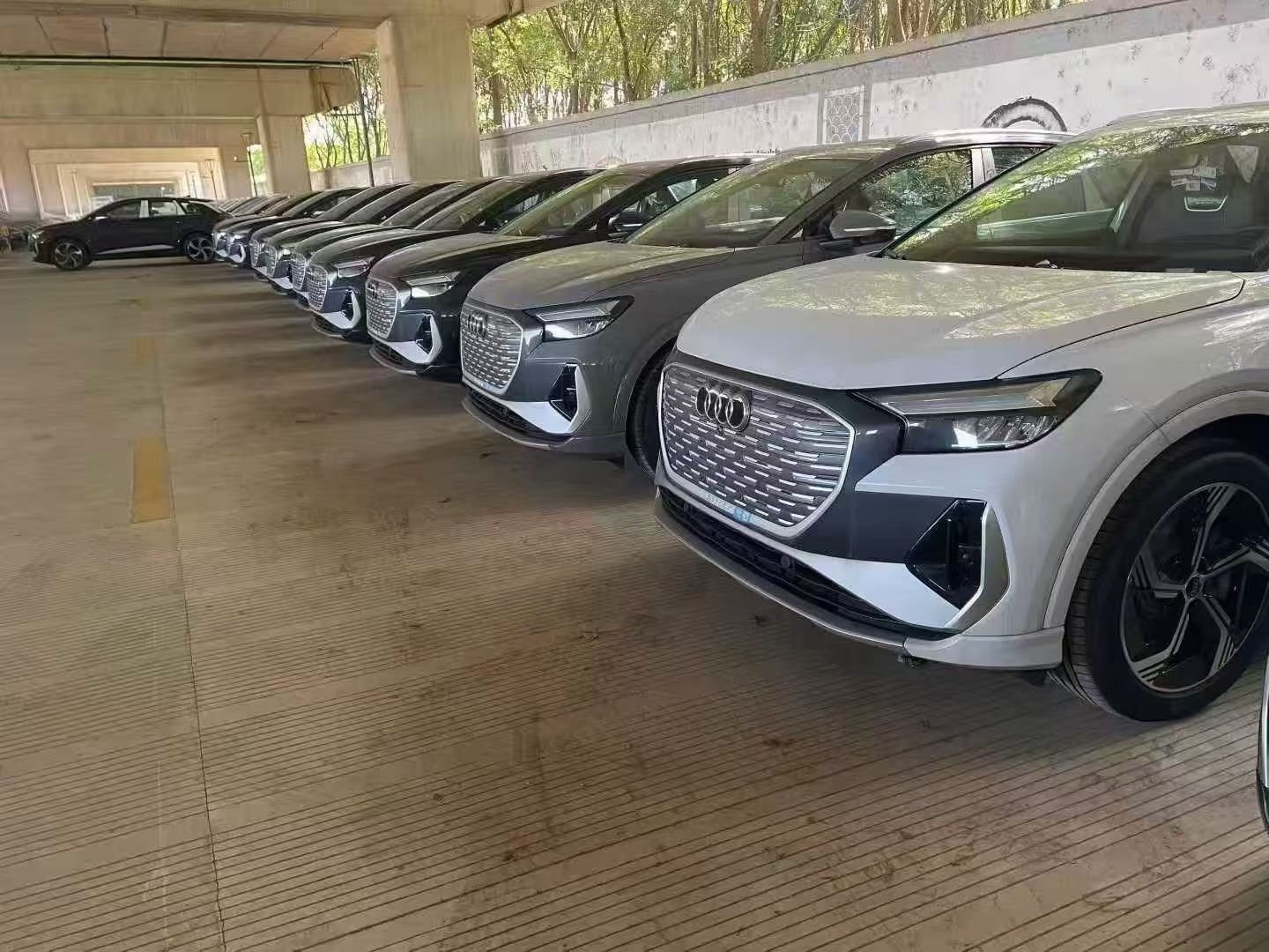 Car Dealer Team Member