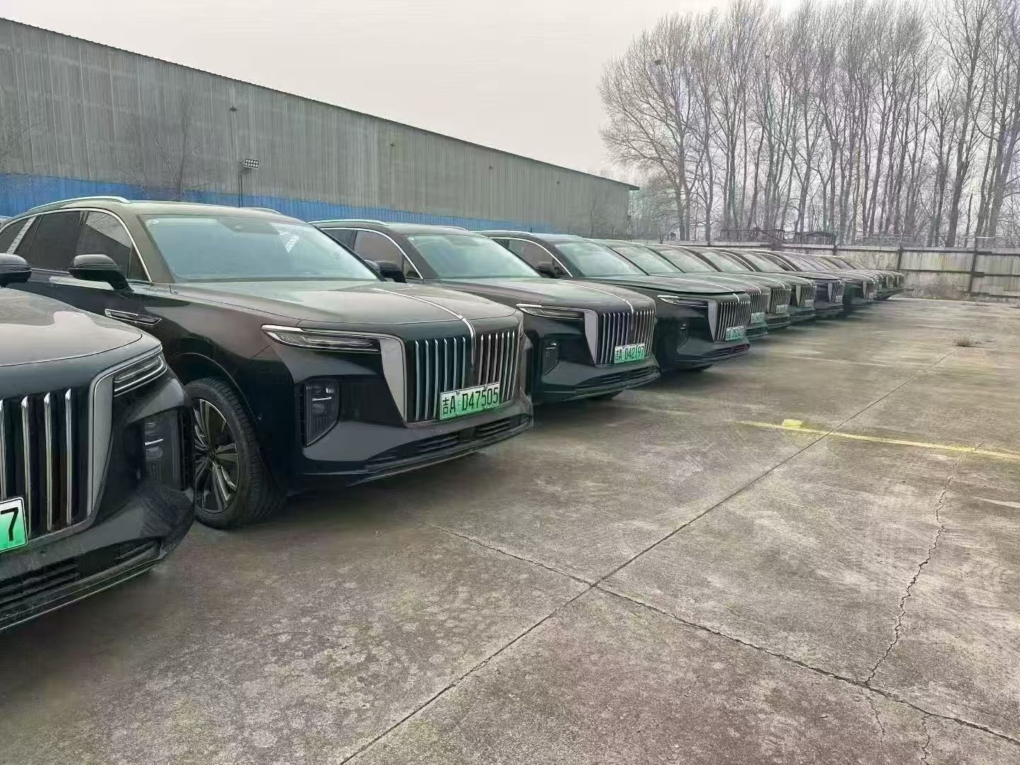 Car Dealer Team Member